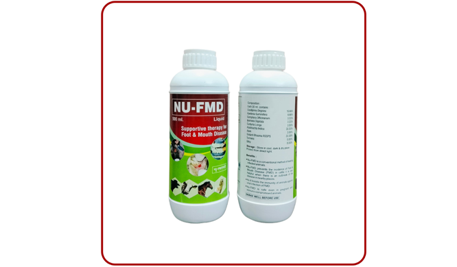 Third Party Pharmaceutical Manufacturer in Baddi