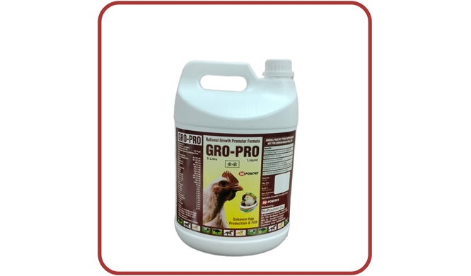 Third Party Herbal Manufacturer