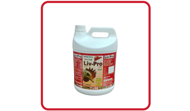 Third Party Herbal Manufacturer